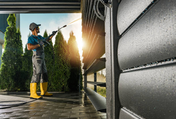 Best Sidewalk and Walkway Cleaning  in Crystal Falls, MI