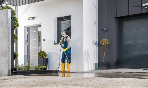 Best Animal Enclosure Cleaning  in Crystal Falls, MI